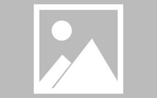 驻马店新区景区网站建设（in art criticism,you must assume）
